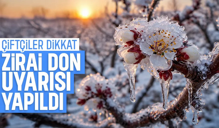 Zirai don uyarısı yapıldı; O günlere dikkat