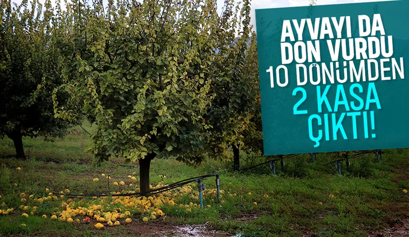 Zirai don vurdu; Eve gelen misafire ikram edecek kadar yok