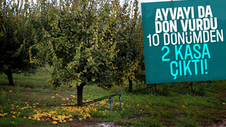 Zirai don vurdu; Eve gelen misafire ikram edecek kadar yok