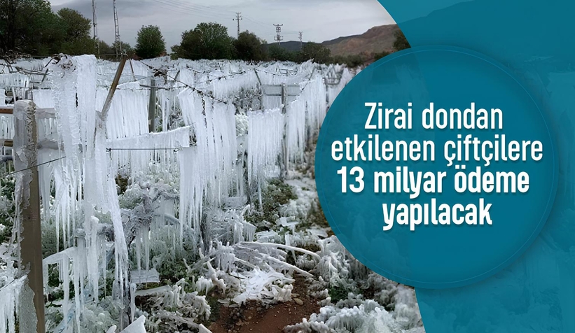 Zirai dondan etkilenen çiftçilere destek ödemesi yapılacak