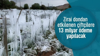 Zirai dondan etkilenen çiftçilere destek ödemesi yapılacak