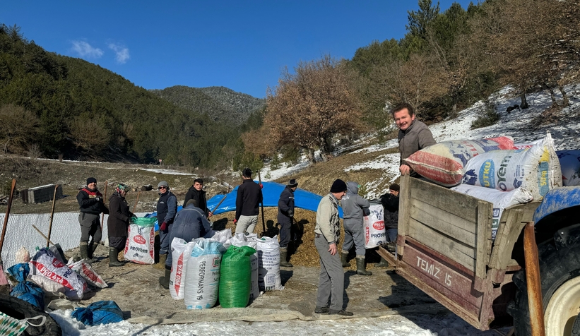Zorlu kış şartlarında imece usulüyle hayvanlarını besliyorlar