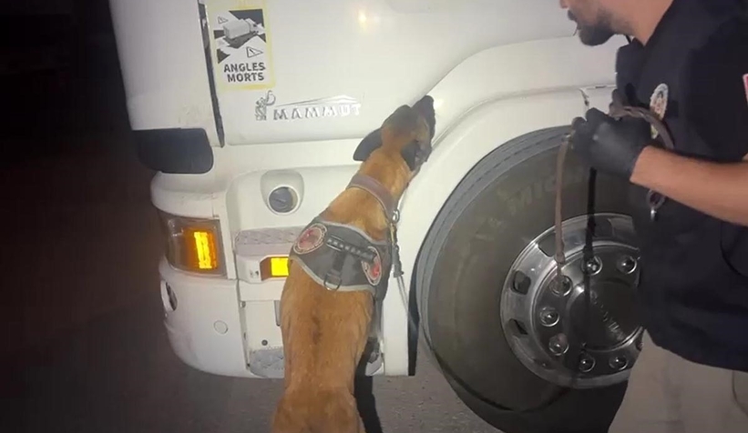 Zuladan uyuşturucu çıktı