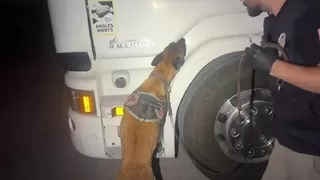 Zuladan uyuşturucu çıktı